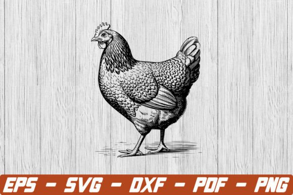 Silkie Chicken SVG, Chicken PNG, and Cute Silkie Hen Graphics: A Digital Design Bundle for Creators